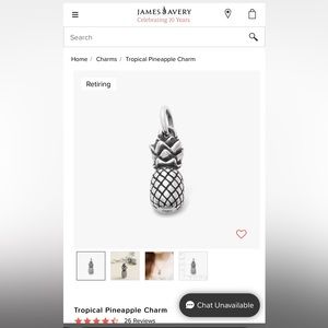 RETIRED James Avery Tropical Pineapple Charm